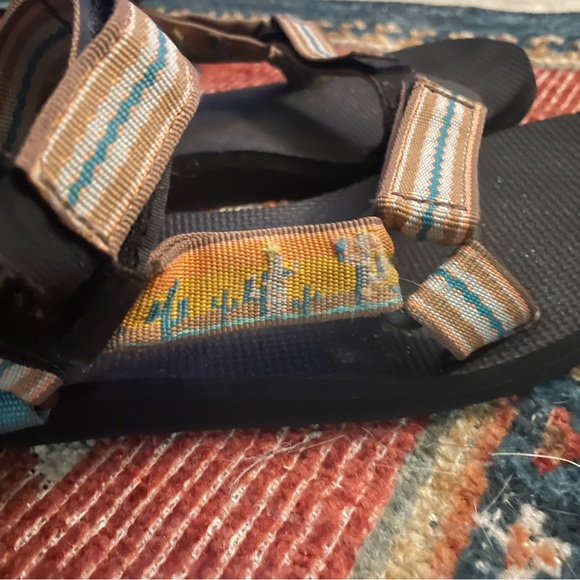 Size 7 used dessert cactus TEVAS - Picture 3 of 6
